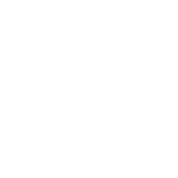 Simpu logo